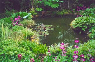 Ardcarraig Garden Galway